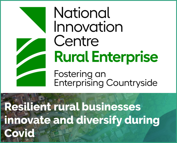 Resilient rural businesses innovate and diversify during Covid