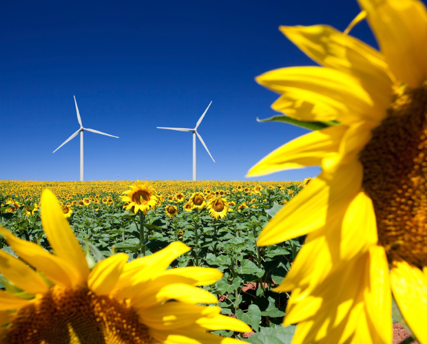 Help Shape the Future of Community Energy Schemes