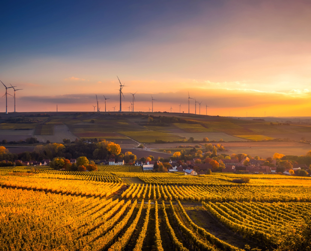 New Grants to Drive Innovation on Farms