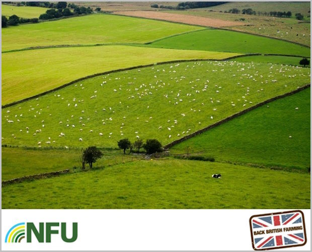 NFU Survey Reveals Connectivity Issues Still Holding Back Farmers