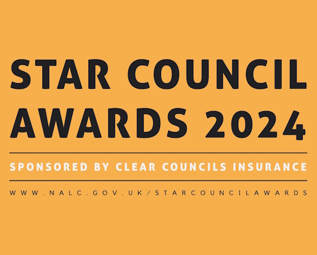 NALC announces finalists for Star Council Awards 2024