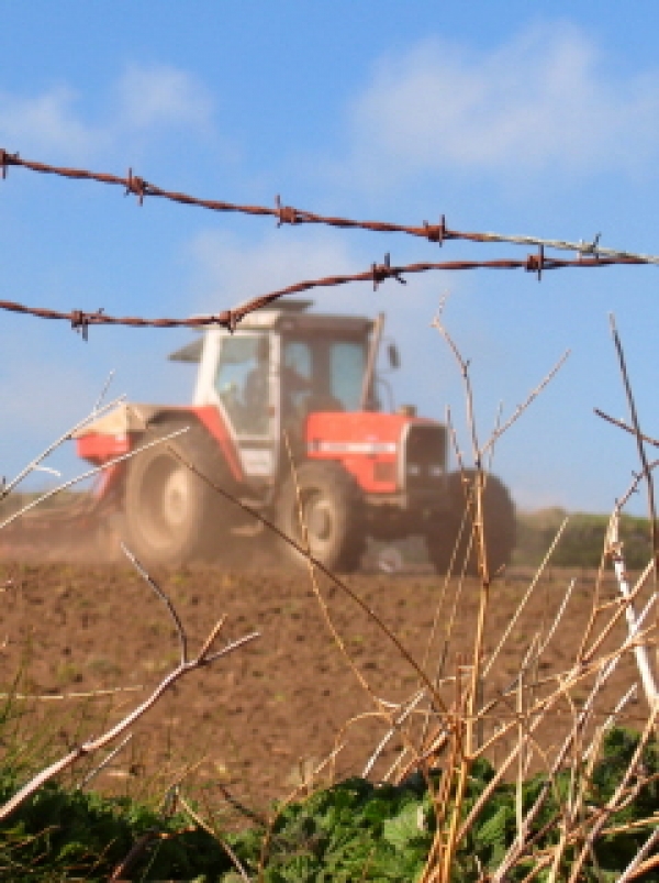 Rural economy 'faces further recession'