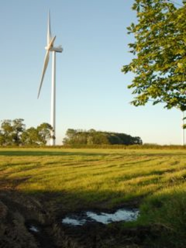 Avoid turbine 'buffer zones', councils told