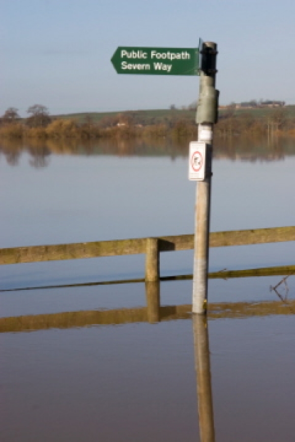 Wet summer costs rural economy £240m