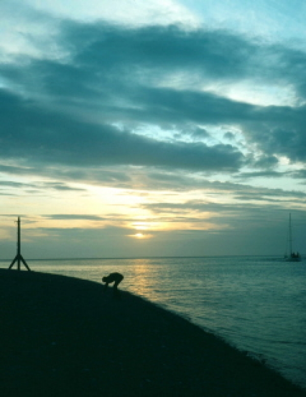 Our coastline: Life on the edge?