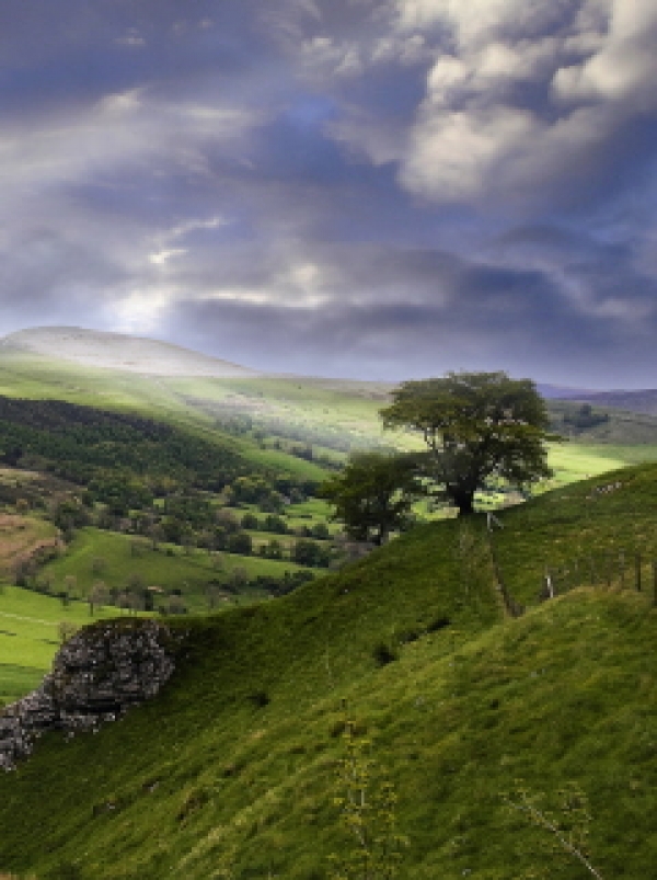 Labour publishes rural manifesto